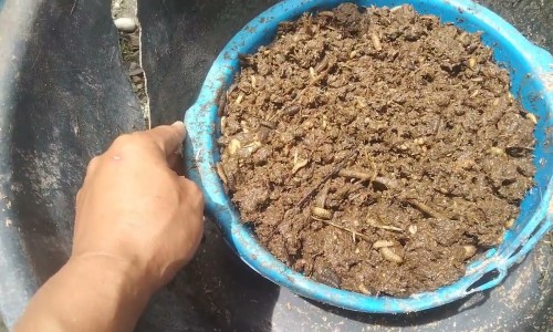 善存片的功效价格网善存片和复合维生素功效一样吗知识网站,分享善存片复合维生素片的功效大全