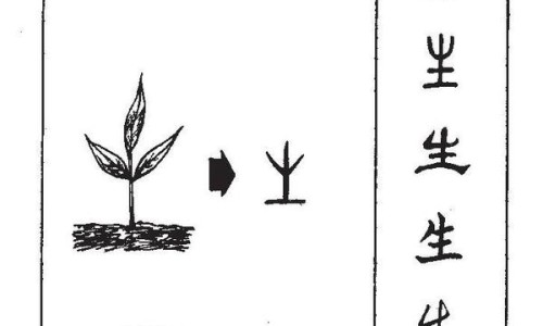 善存片的功效与作用及副作用-善存片的功效价格网善存片和复合维生素功效一样吗知识网站,分享善存片复合维生素片的功效大全