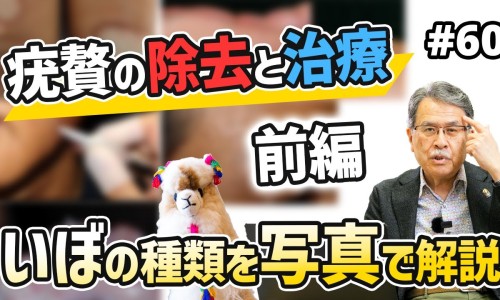 善存片的功效与作用-善存片的功效价格网善存片和复合维生素功效一样吗知识网站,分享善存片复合维生素片的功效大全